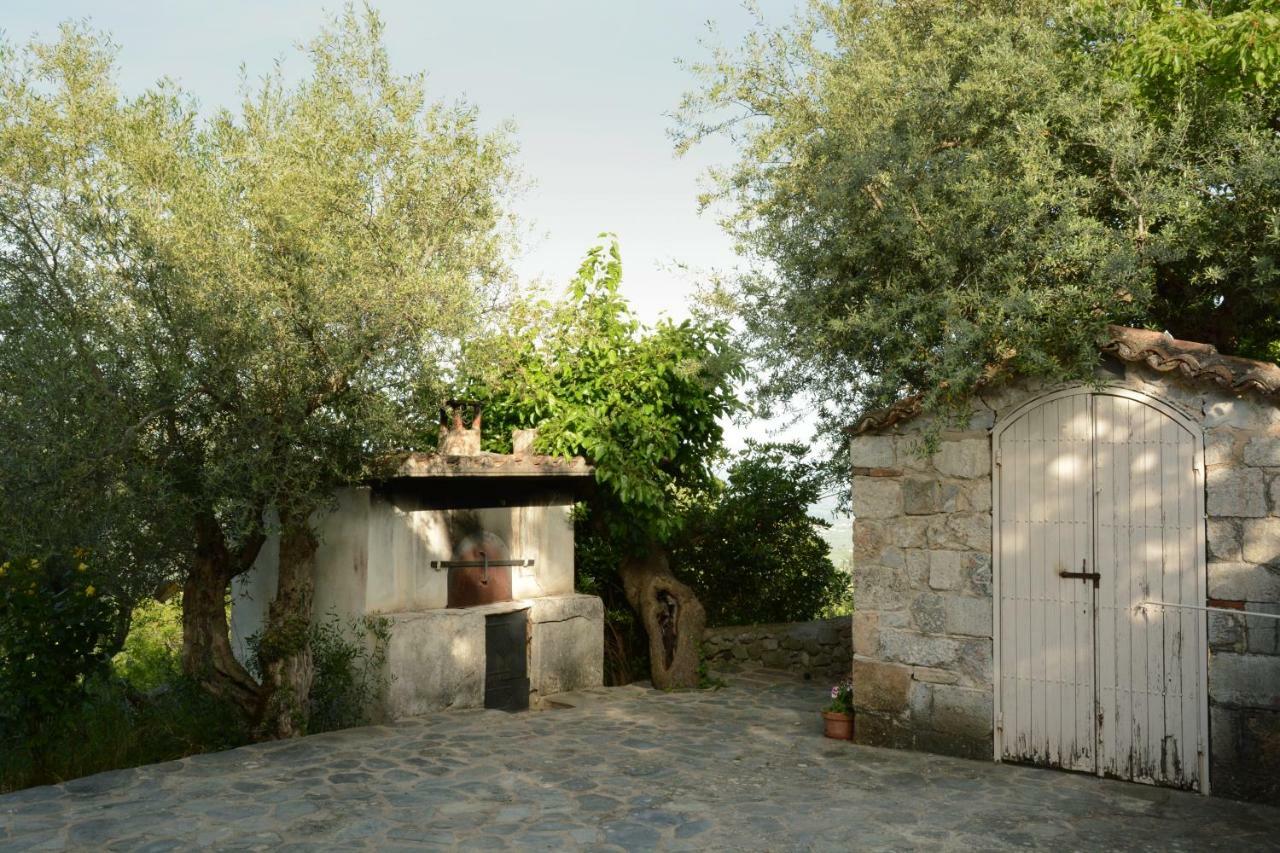 Mistra Estates Villa The Vine Pikouliánika Buitenkant foto